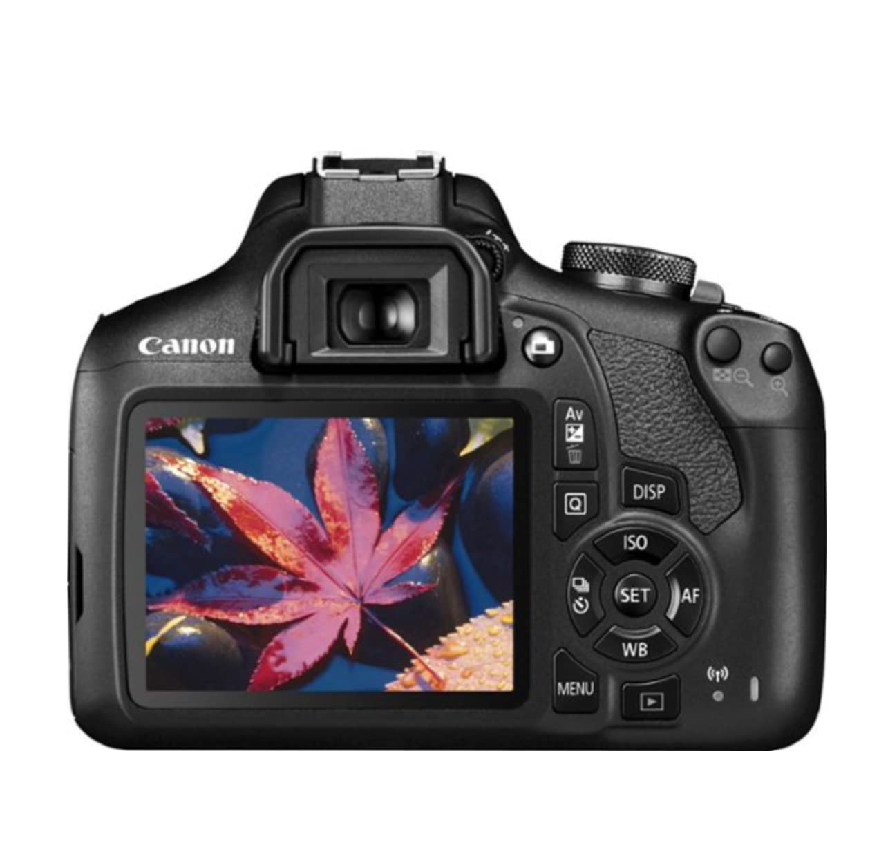 Amazon.com : Canon EOS Rebel T7 DSLR Camera|2 Lens Kit with